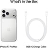 Apple iPhone 17 Pro Max 256GB Silver