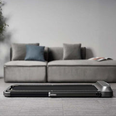 King Smith Walkingpad Katlanabilir Koşu ve Yürüme Bandı