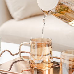 Borosilkat Kulplu Cam Bardak Füme