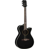 EKO Nxt A100 See Through Black Akustik Gitar Siyah