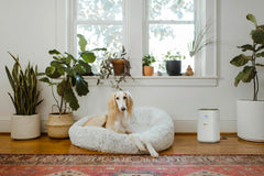 Karcher AF 20 Aktif Karbonlu Kompakt Hava Temizleme Makinesi