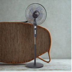 Queen 16'' 5 Kanatlı Vantilatör Siyah