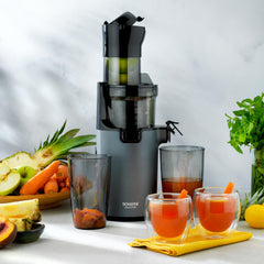 Schafer Slow Star Sebze ve Meyve Sıkacağı Antrasit