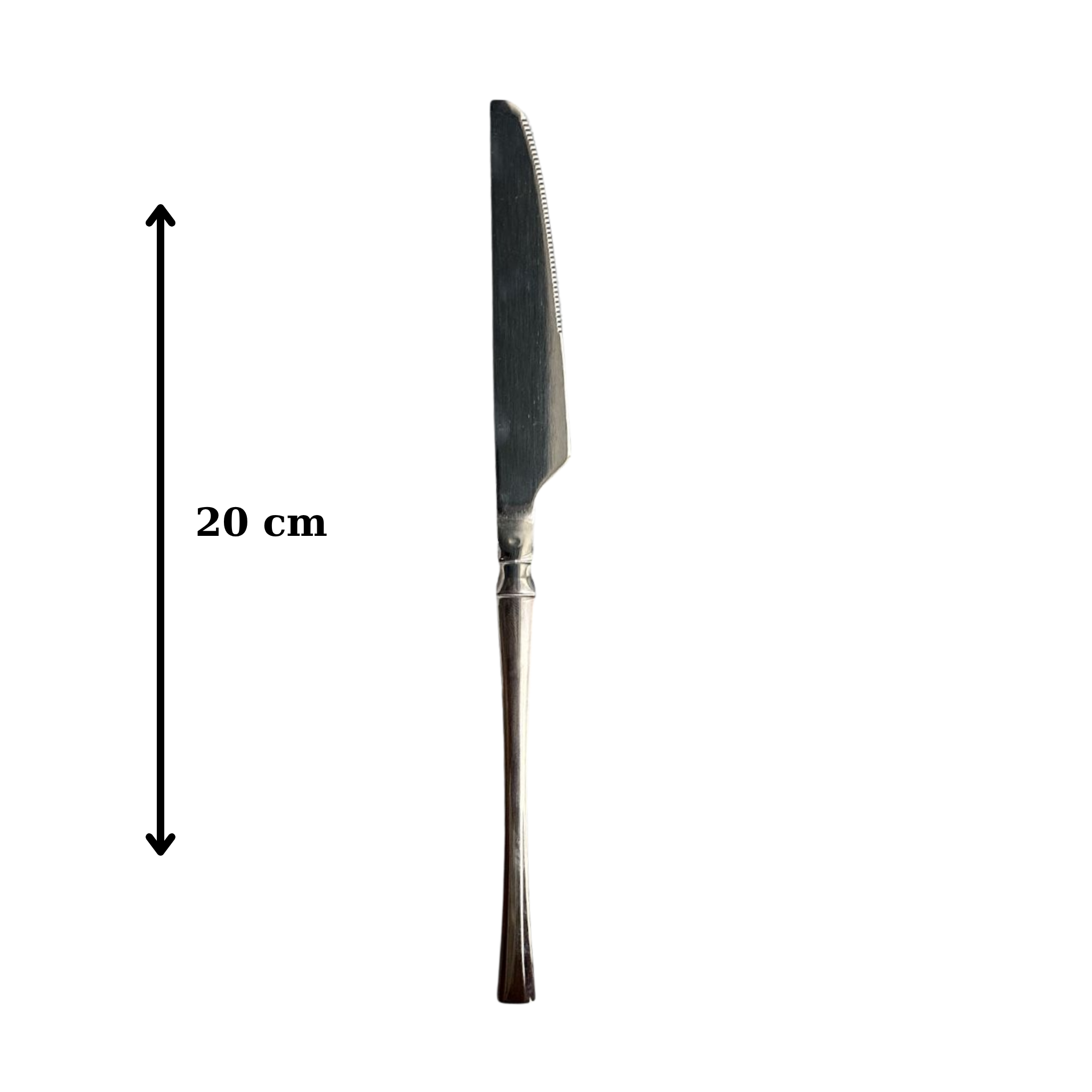 Paslanmaz Çelik 6'lı Gümüş Bıçak Seti