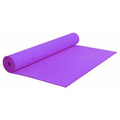 Protech PVC Plates Mat Mor