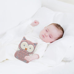 Babyjem Kiraz Çekirdekli Gaz Önleyici Yastık Baykuş Gül Kurusu