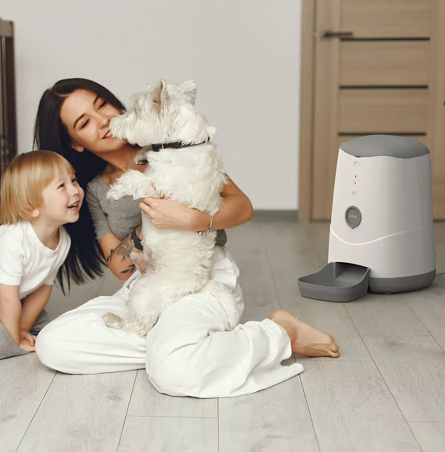 Bilicra Feed Me 3.7 L Akıllı Mama Kabı