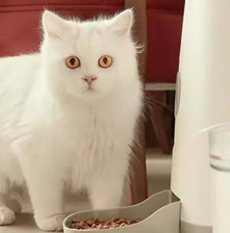 Bilicra Feed Me 3.7 L Akıllı Mama Kabı