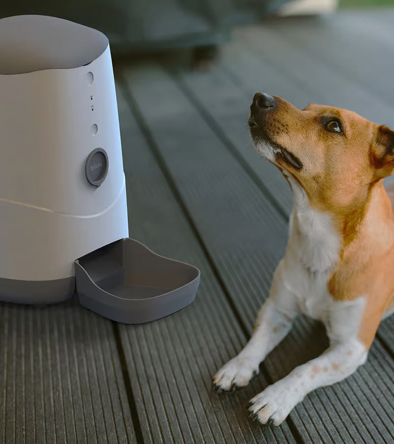 Bilicra Feed Me 3.7 L Akıllı Mama Kabı