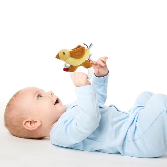 Babyjem Çıngıraklı Lori Tarçın