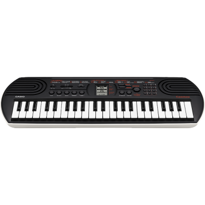 Casio 44 Mini Tuşlu Klavye Org Siyah