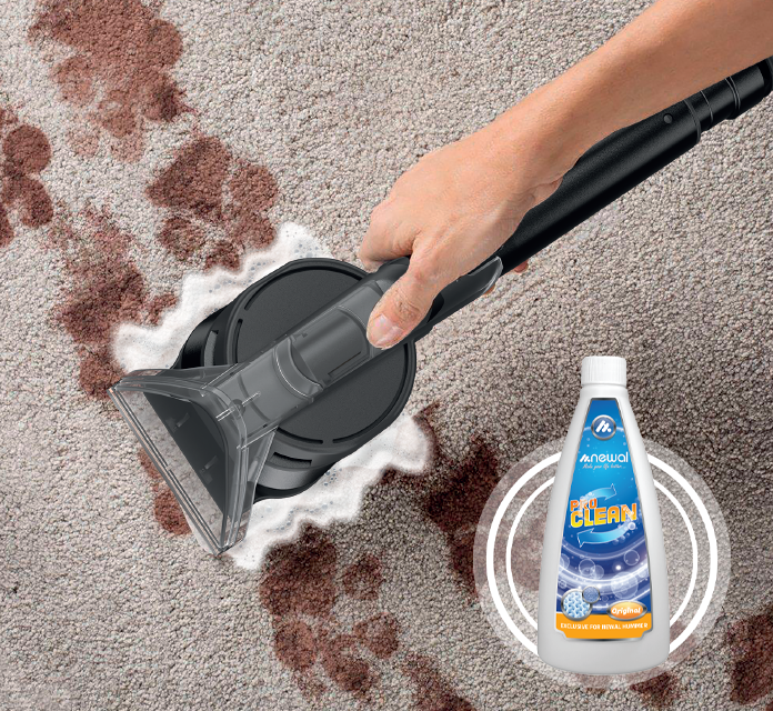 Newal 2 Su Tanklı 800 W Halı Yıkama Makinesi
